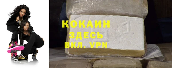 мет Алексин