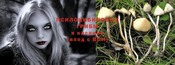 гидропоника Алзамай