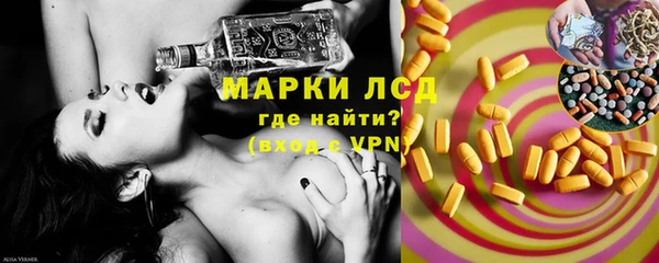 гидропоника Алзамай